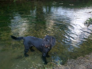 Kara in the river